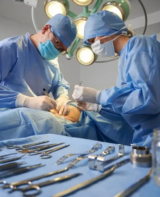Clínica e Cirurgia do Aparelho Digestório 2