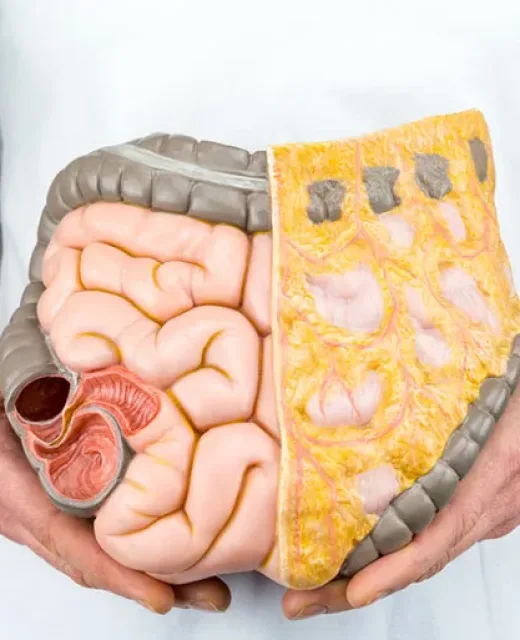 Coloproctologia